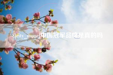 柳州中国冠军品牌是真的吗