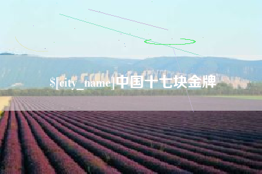 柳州中国十七块金牌