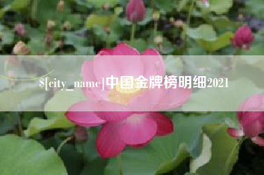 柳州中国金牌榜明细2021