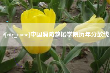 柳州中国消防救援学院历年分数线