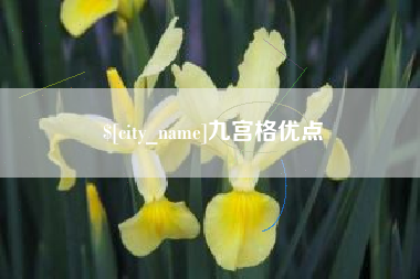 柳州九宫格优点