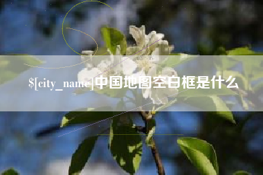 柳州中国地图空白框是什么