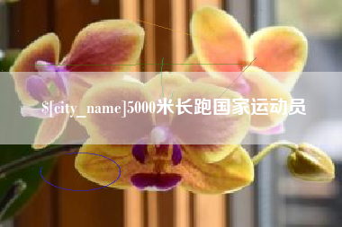 柳州5000米长跑国家运动员