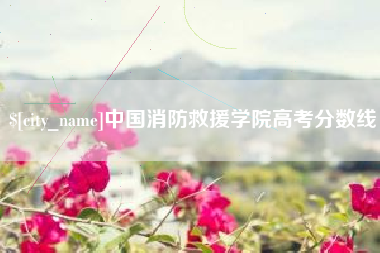 柳州中国消防救援学院高考分数线