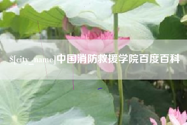 柳州中国消防救援学院百度百科