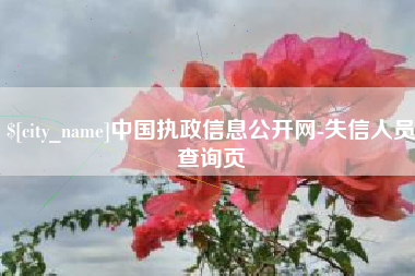 柳州中国执政信息公开网-失信人员查询页