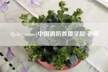柳州中国消防救援学院 老师