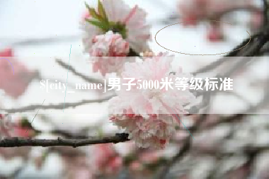 柳州男子5000米等级标准