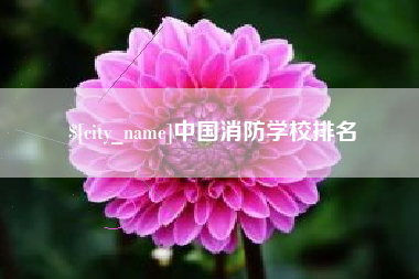 柳州中国消防学校排名