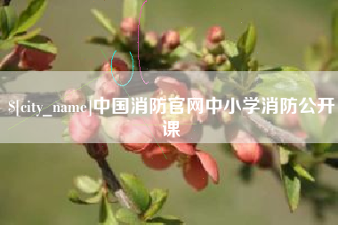 柳州中国消防官网中小学消防公开课