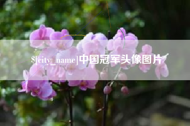 柳州中国冠军头像图片