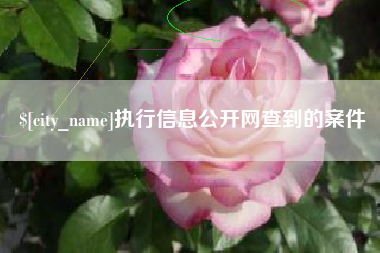 柳州执行信息公开网查到的案件