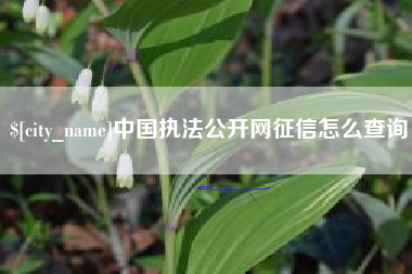 柳州中国执法公开网征信怎么查询