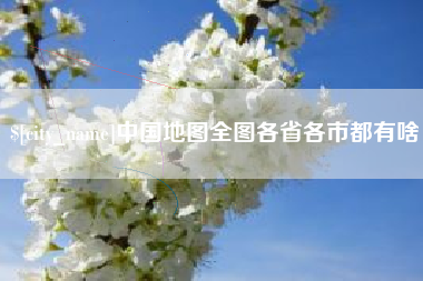 柳州中国地图全图各省各市都有啥