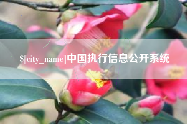 柳州中国执行信息公开系统