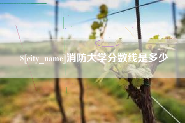 柳州消防大学分数线是多少