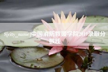 柳州中国消防救援学院2019录取分数线