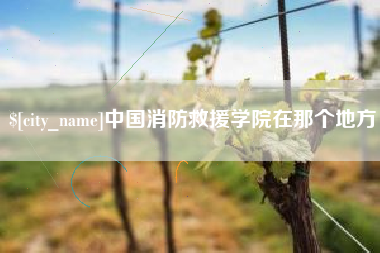 柳州中国消防救援学院在那个地方
