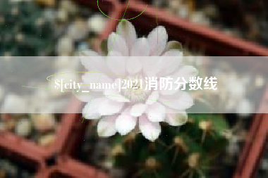 柳州2021消防分数线