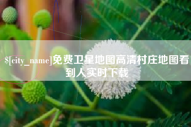 柳州免费卫星地图高清村庄地图看到人实时下载