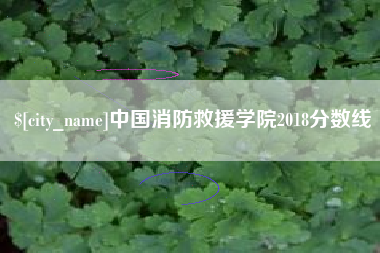柳州中国消防救援学院2018分数线