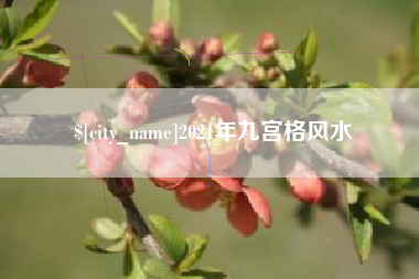 柳州2021年九宫格风水