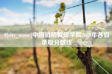 柳州中国消防救援学院2020年各省录取分数线