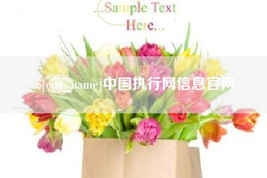 柳州中国执行网信息官网
