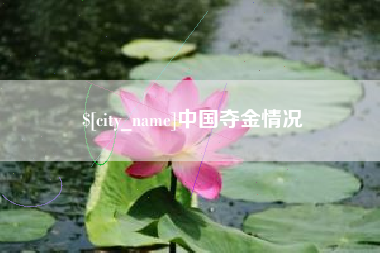 柳州中国夺金情况