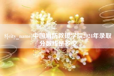 柳州中国消防救援学院2024年录取分数线是多少