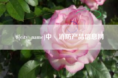 柳州中囯消防产品信息网