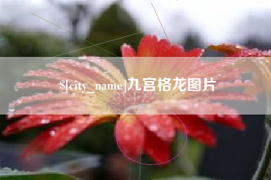 柳州九宫格龙图片