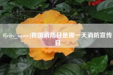 柳州我国消防日是哪一天消防宣传日