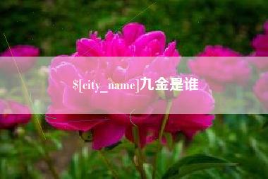 柳州九金是谁