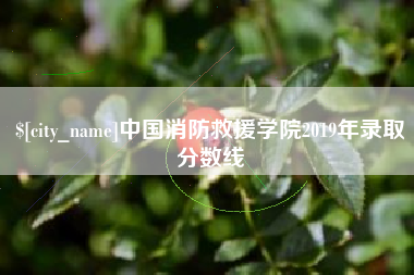 柳州中国消防救援学院2019年录取分数线