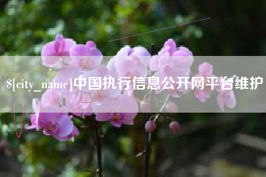柳州中国执行信息公开网平台维护