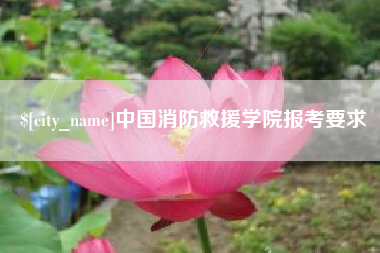 柳州中国消防救援学院报考要求