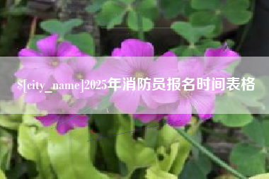 柳州2025年消防员报名时间表格