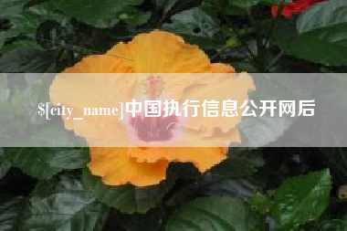 柳州中国执行信息公开网后
