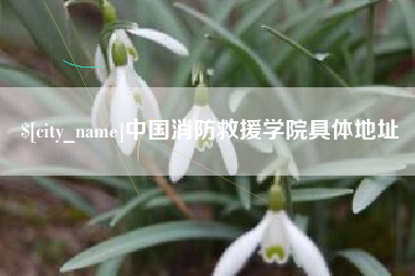 柳州中国消防救援学院具体地址