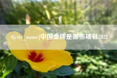 柳州中国金牌是哪些项目2021
