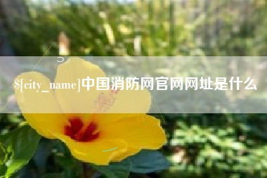 柳州中国消防网官网网址是什么