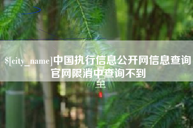 柳州中国执行信息公开网信息查询官网限消中查询不到