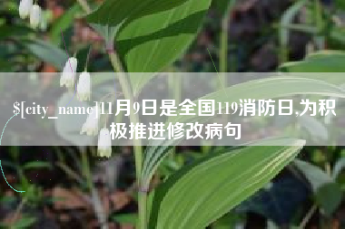 柳州11月9日是全国119消防日,为积极推进修改病句