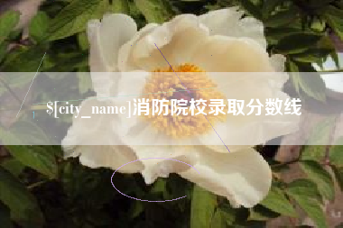 柳州消防院校录取分数线