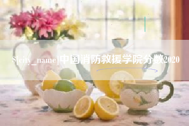 柳州中国消防救援学院分数2020
