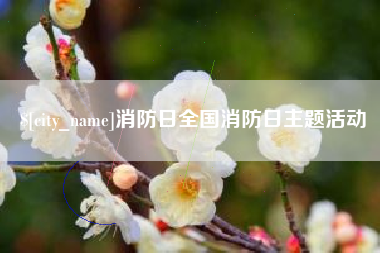 柳州消防日全国消防日主题活动