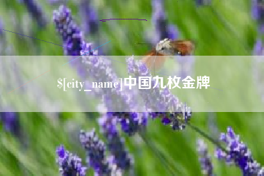 柳州中国九枚金牌