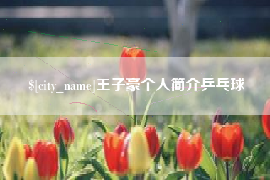 柳州王子豪个人简介乒乓球