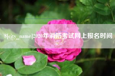柳州2020年消防考试网上报名时间